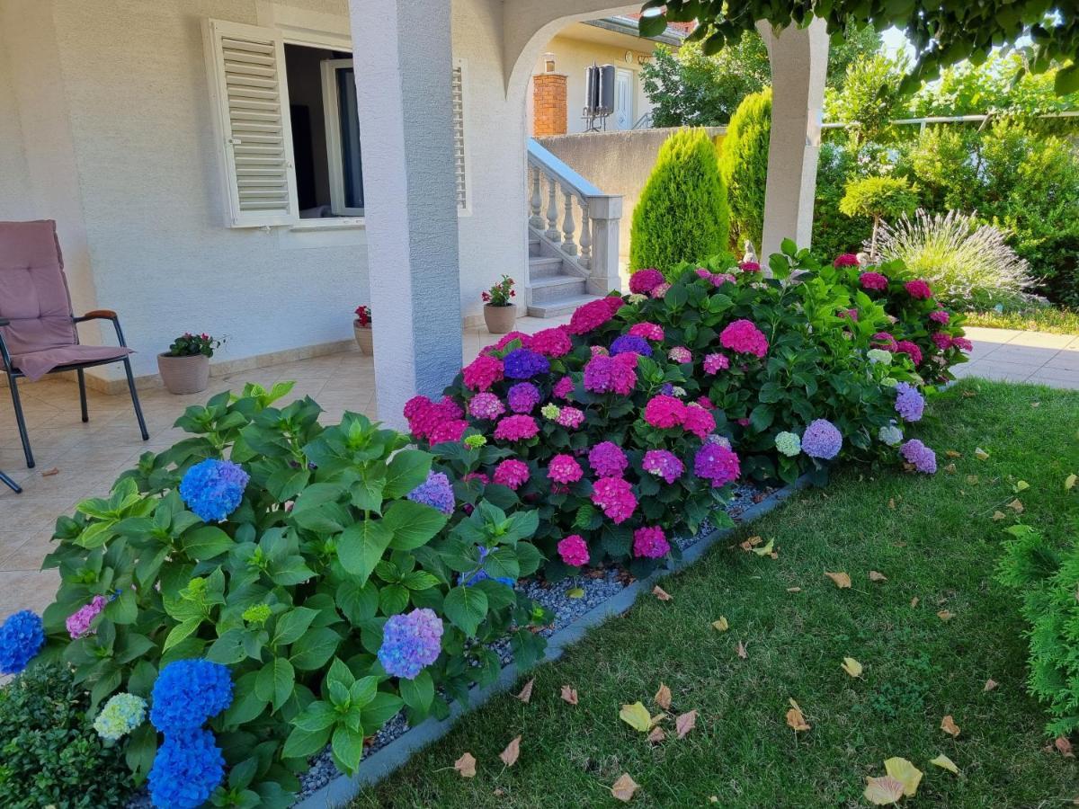 Apartament Nina