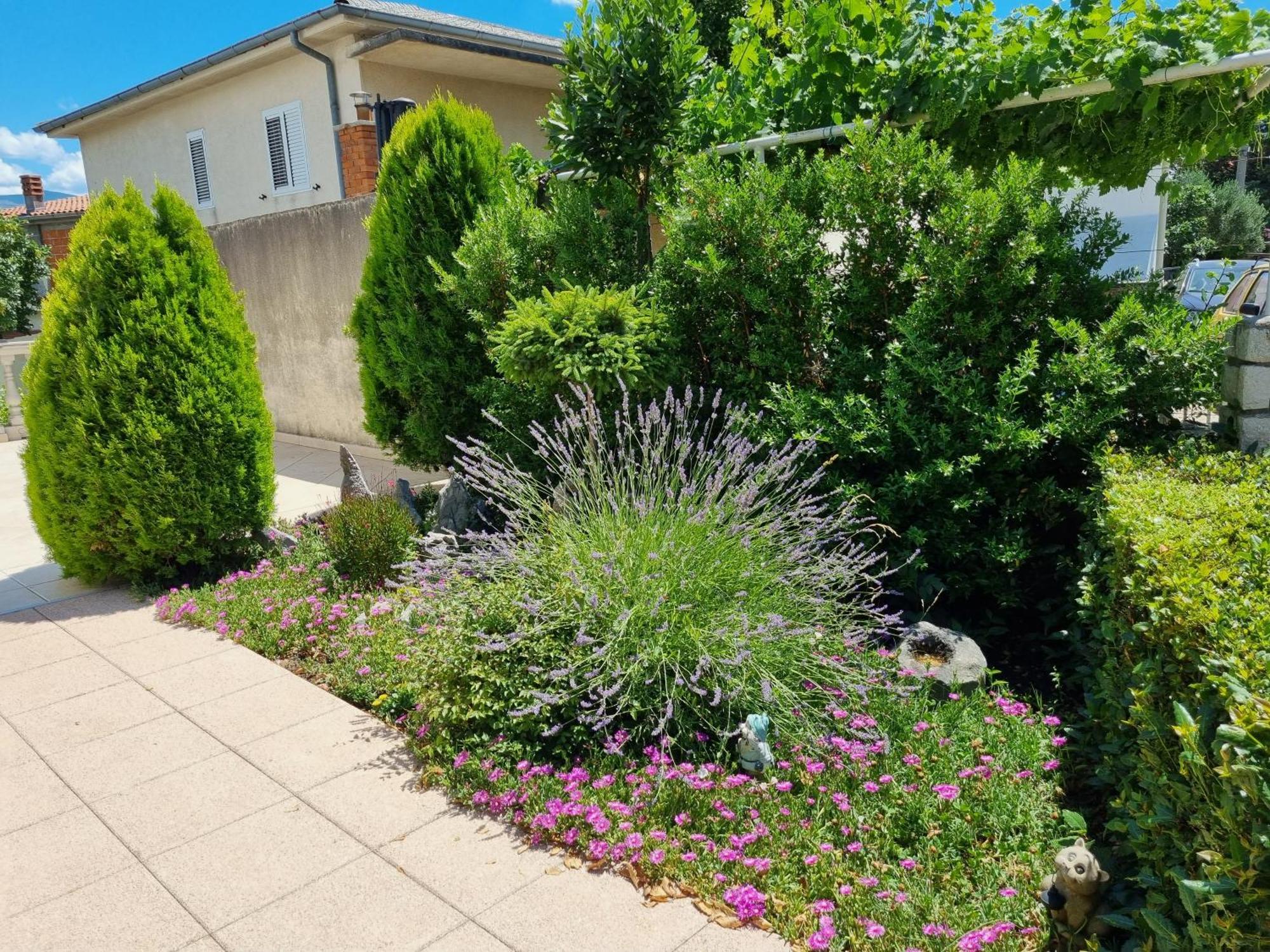 Apartament Nina